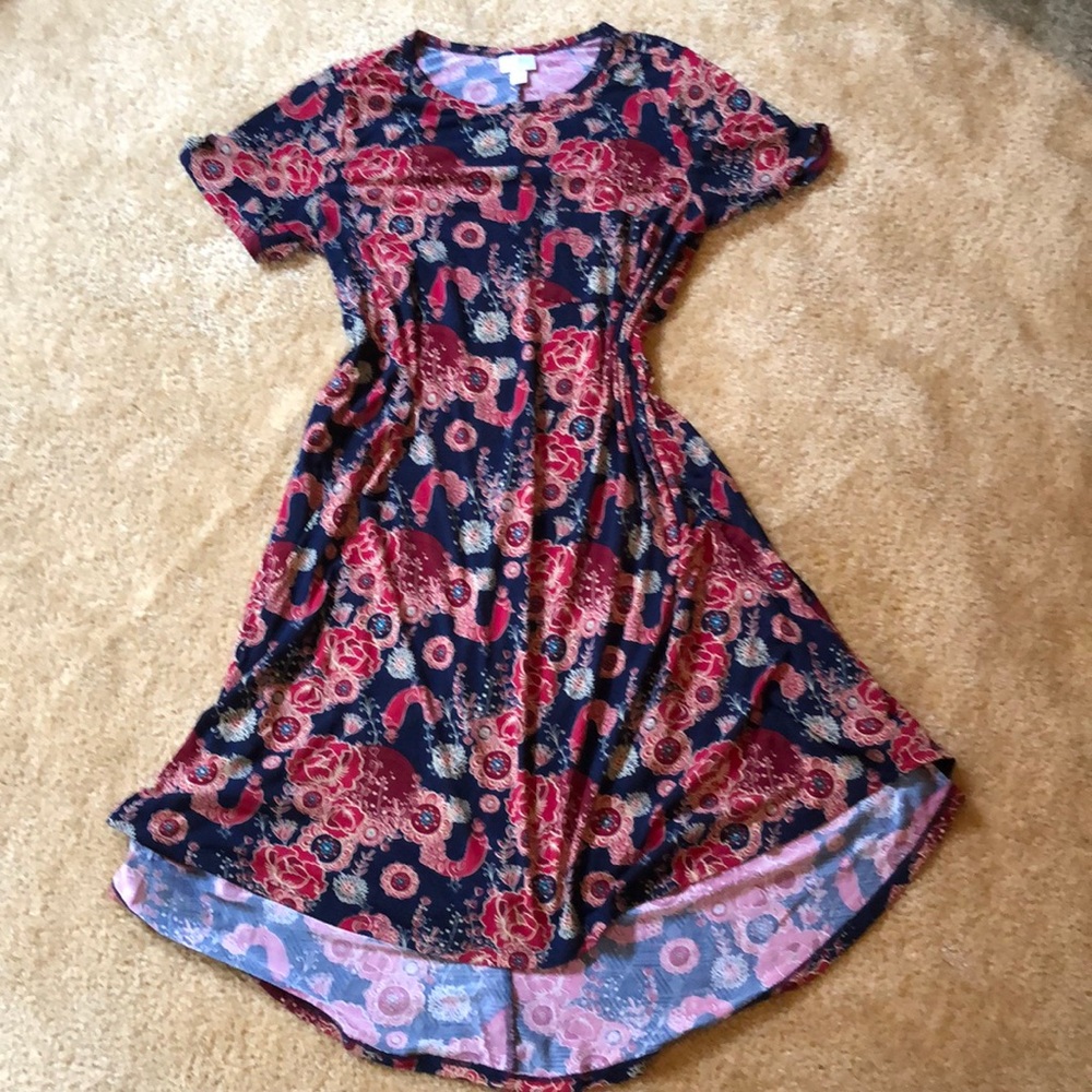 Small Lularoe Carly